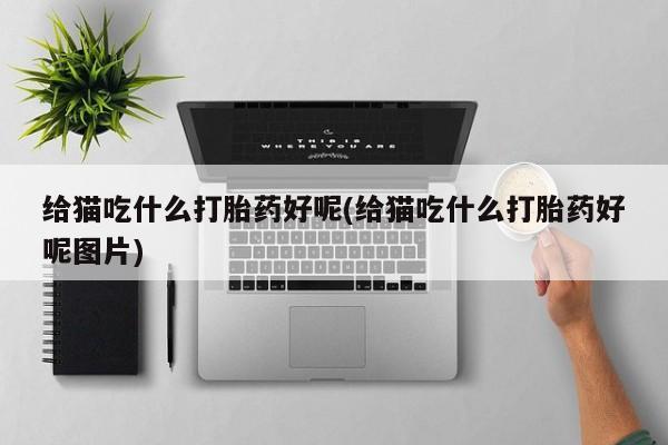米非司酮片哪里有买给猫吃什么打胎药好呢(给猫吃什么打胎药好呢图片)