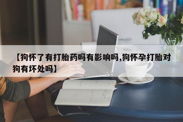 米非司酮片哪里有买【狗怀了有打胎药吗有影响吗,狗怀孕打胎对狗有坏处吗】