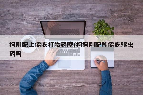 米非司酮片哪里有买狗刚配上能吃打胎药麽/狗狗刚配种能吃驱虫药吗